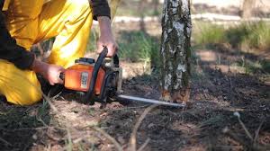 Best Lawn Grading and Leveling  in Bethel, WA